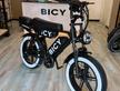 Nuova Bici elettrica Doppia batteria