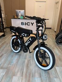 Bici elettrica Doppia batteria