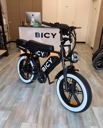 Nuova Bici elettrica Doppia batteria