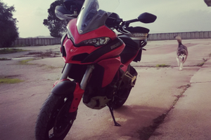 Ducati multistrada 1200 s dvt