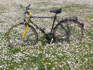 bicicletta city bike bianchi spillo 