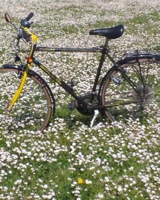bicicletta city bike bianchi spillo 