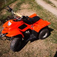 Honda Altro modello - 2005