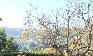 Appartamento a Carmignano, 3 locali