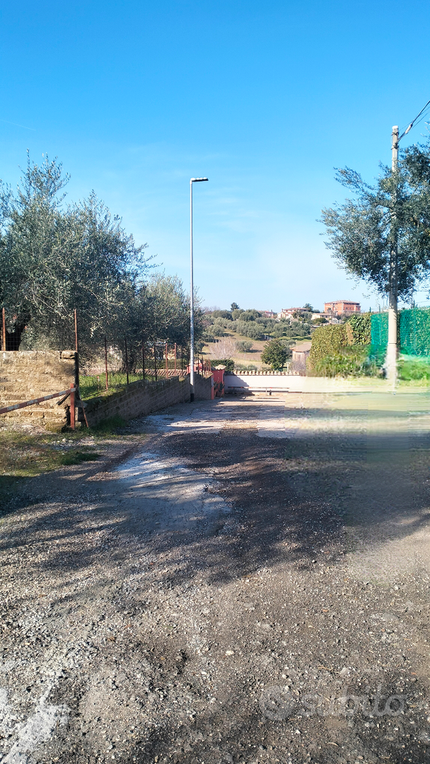Terreno agricolo con ulivi - Vista 6