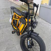 bici elettrica  e-bike 