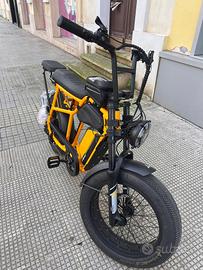 bici elettrica  e-bike 