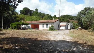 Rustico / Casale di 120 m² con più di 5 locali a C
