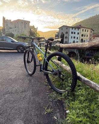 mountain bike