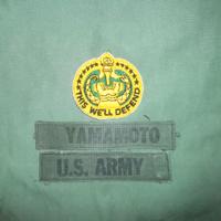 Lotto Toppe Patches Tapes Us Army Guerra Vietnam