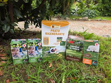 semi per tappeto erboso