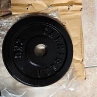 Dischi ghisa da  2 kg