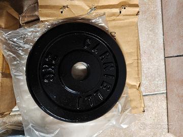 Dischi ghisa da  2 kg