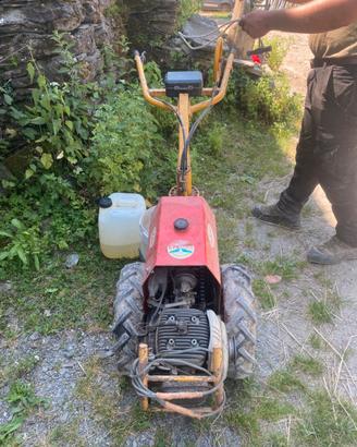 Attrezzatura agricola talpino completo funzionante