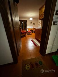 Trilocale Borca di Cadore Cortina D'Ampezzo