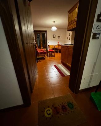 Trilocale Borca di Cadore Cortina D'Ampezzo