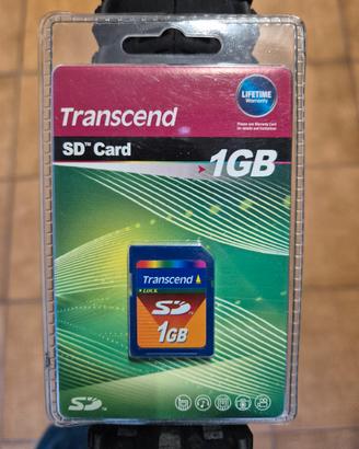 SD 1gb 