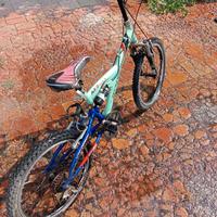 MTB 22"