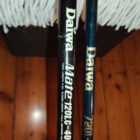 set 2 canne da pesca allungabili 