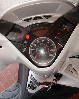 SH 300