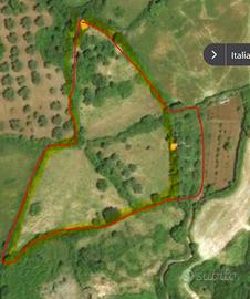 Scano Montiferro terreno