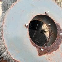 SPAZZOLE ACCIAO PER SPAZZATRICE