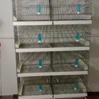 batteria di gabbie professionale 