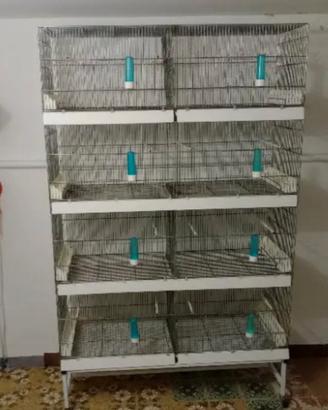 batteria di gabbie professionale 