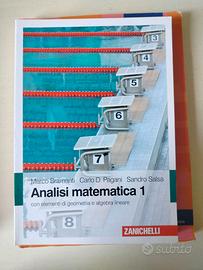 Analisi Matematica 1 Bramanti