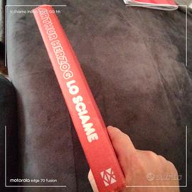 libro lo sciame 