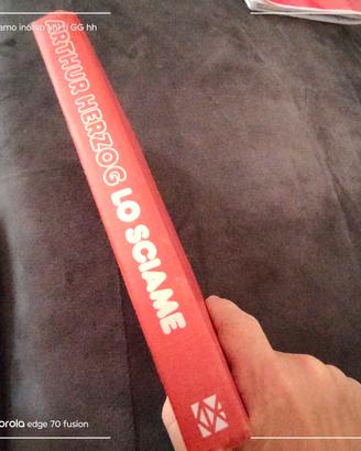 libro lo sciame 
