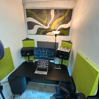 pannelli fonoassorbenti da studio