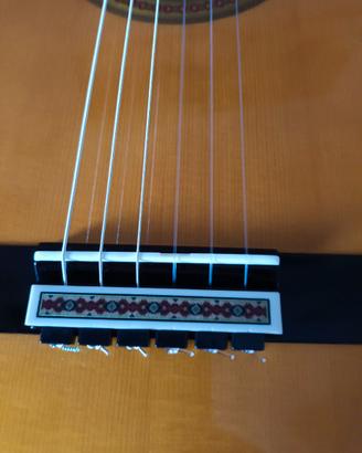 Chitarra classica professionale
