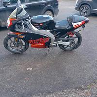 Aprilia RS 50 2006