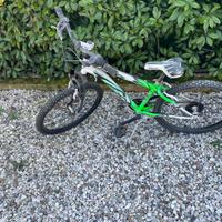 Bicicletta da bambino