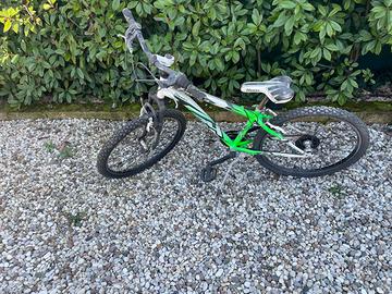 Bicicletta da bambino