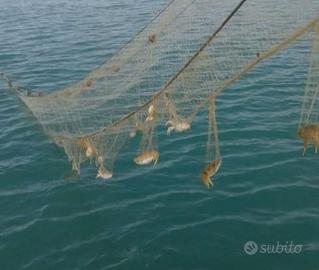 Rete da pesca tramaglio