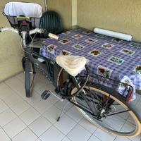 Bici  con cesto