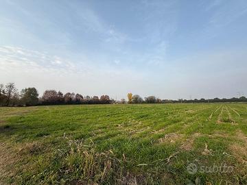 Rif.5007| terreno agricolo spinea