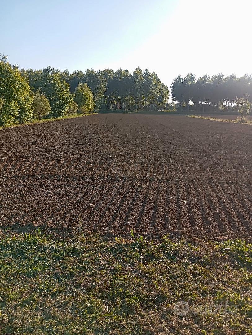 terreno edificabile ed agricolo - Vista 3