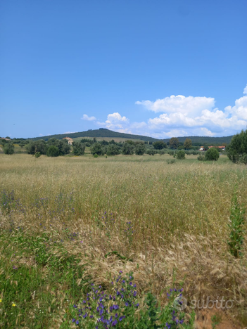 Vetricella terreno agricol