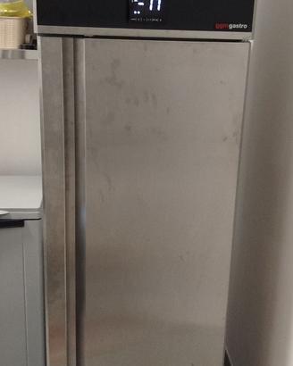 congelatore verticale PROFESSIONALE NUOVO 220V