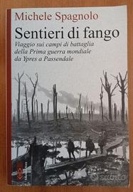Sentieri di fango di Michele Spagnolo