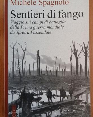 Sentieri di fango di Michele Spagnolo