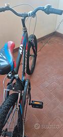 mountain bike Rosato