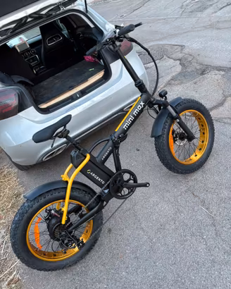Bicicletta elettrica
