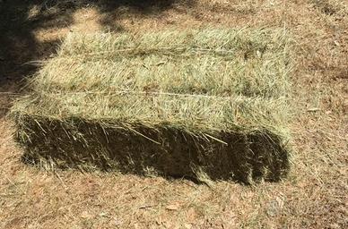 Fieno balle