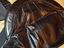 Immagine 5