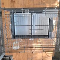 Gabbia per pappagalli e uccelli vari