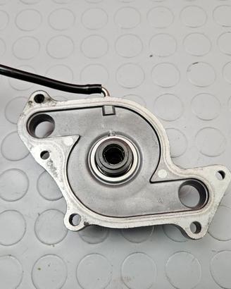 CARTER INTERNO SUZUKI SV 650 2006 2011 SV650 2008